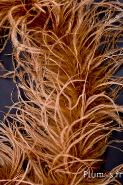 Autruche mèche  - 10 cm - cognac